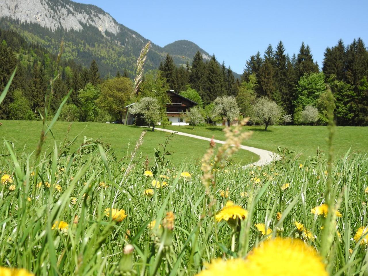 Bauernhof Hintenberg Itter Exterior foto